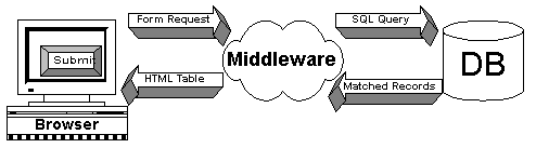 Figure 1 - The New ERP Environment